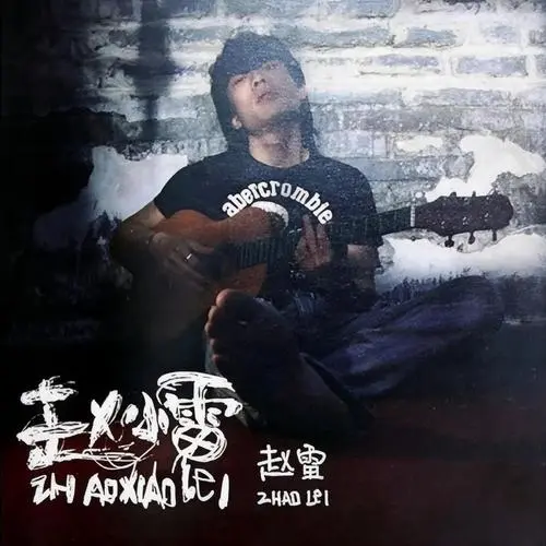 赵小雷 cover